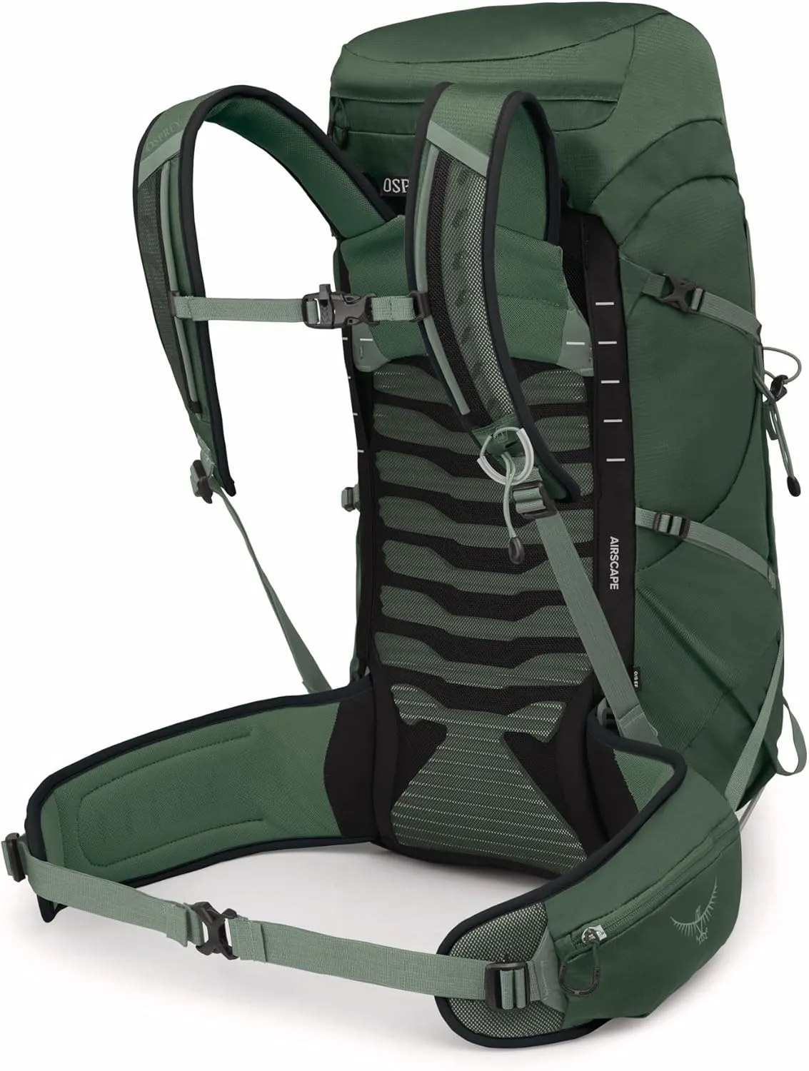 Osprey Talon 33L Men's Lightweight Hiking Backpack with Hipbelt, Green Canopy/Pine Leaf, Extended Fit