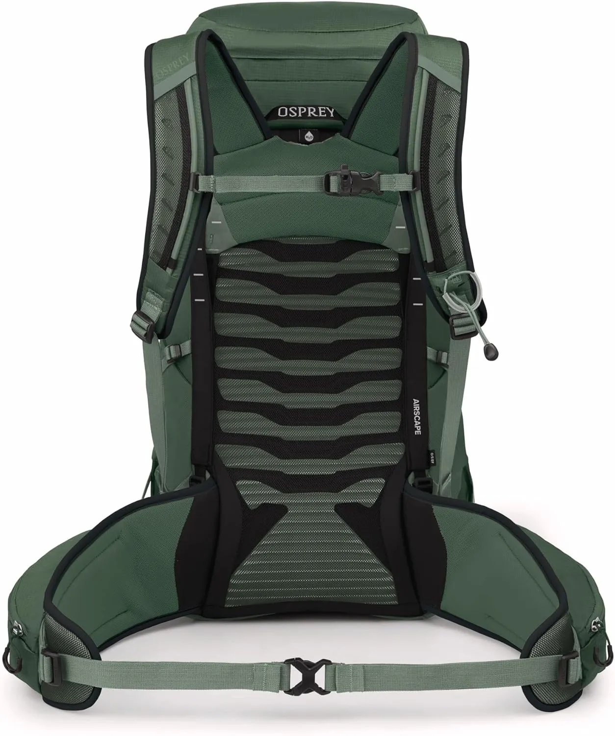 Osprey Talon 33L Men's Lightweight Hiking Backpack with Hipbelt, Green Canopy/Pine Leaf, Extended Fit